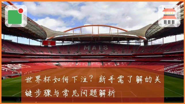 世界杯如何下注？新手需了解的关键步骤与常见问题解析