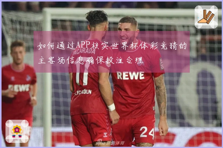 如何通过APP核实世界杯体彩竞猜的主客场信息确保投注合理